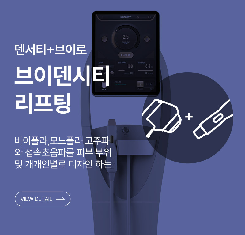 브이덴시티