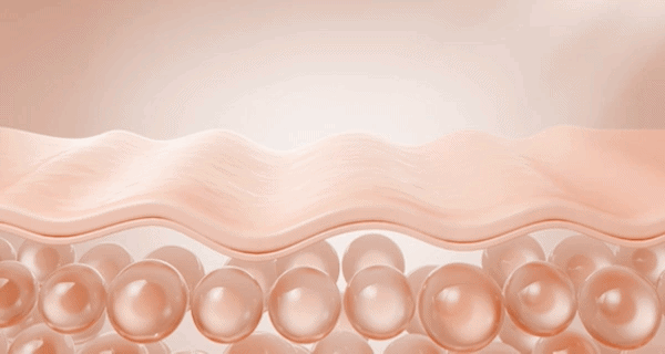 콜라겐 재생 원리